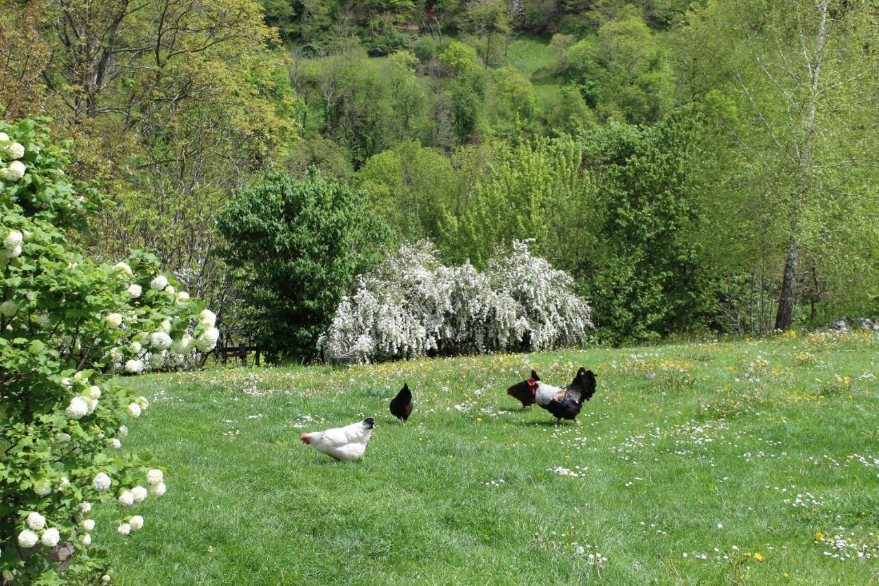 La Grande Ourse Bed & Breakfast Campan Eksteriør bilde